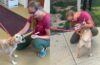 Missing Dog Reunites With Family In US