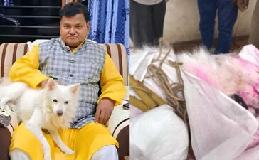 Pet Dog Dies During Owner Funeral MP Betul