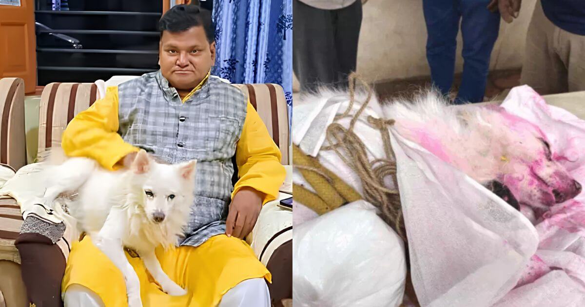 Pet Dog Dies During Owner Funeral MP Betul