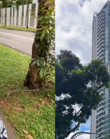 Influencer Life In Singapore