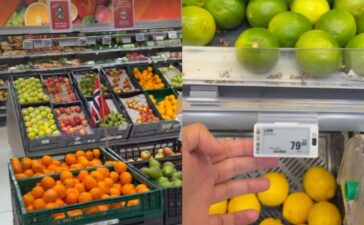 Man In Norway Compares Lemon Price India