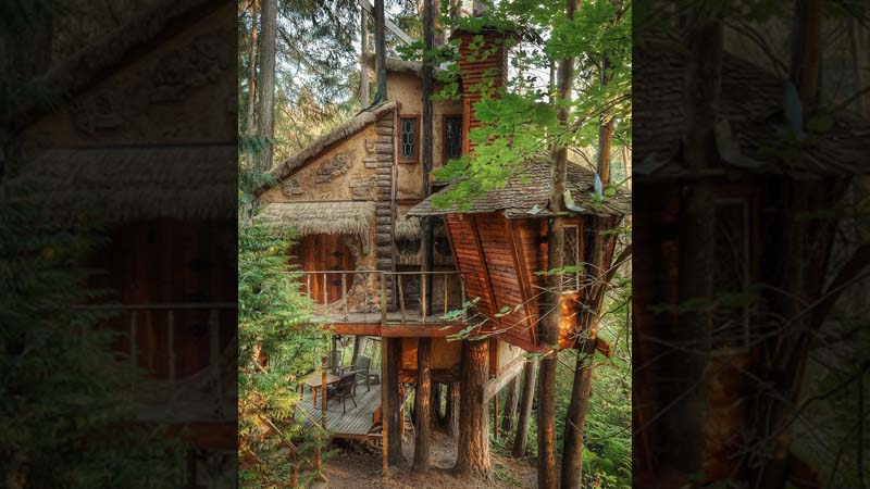 Tree Houses Around The World