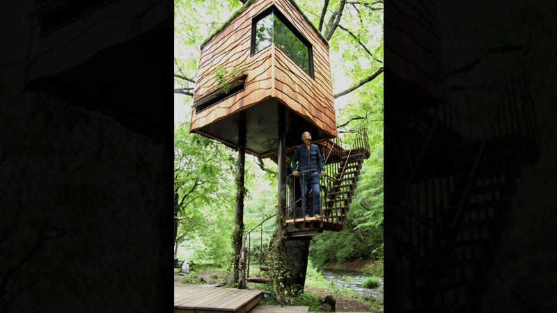 Tree Houses Around The World