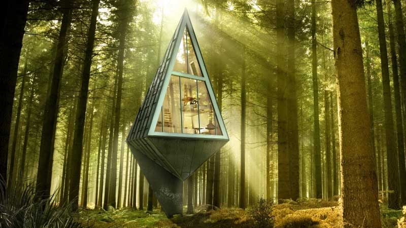 Tree Houses Around The World