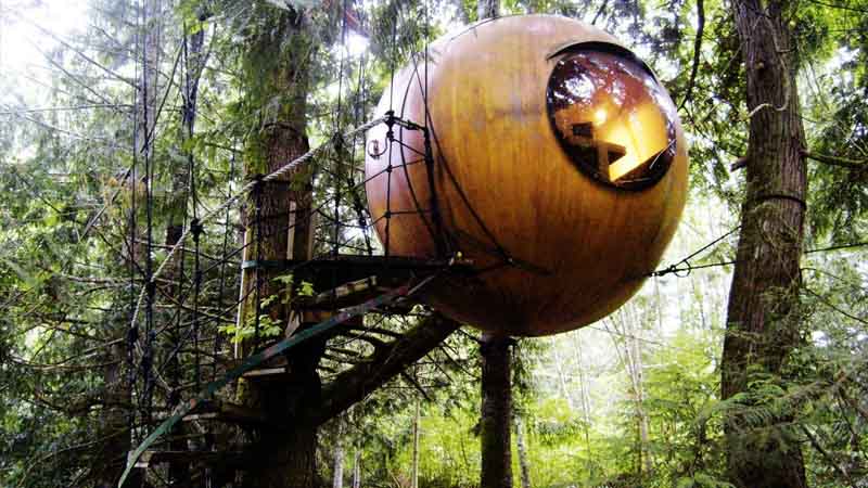 Tree Houses Around The World