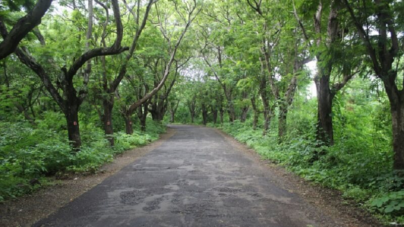 Haunted Roads India