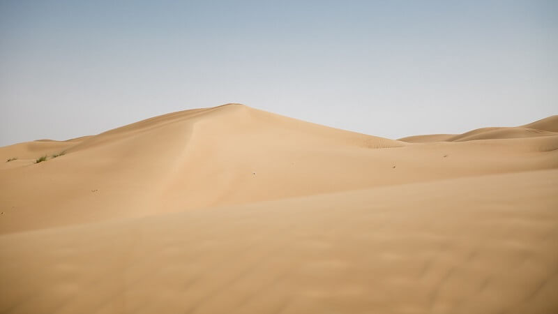 Sahara Desert