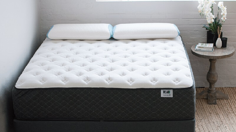 Bear mattress