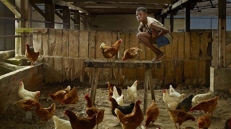 Chicken Boy was located in Fiji during 1978