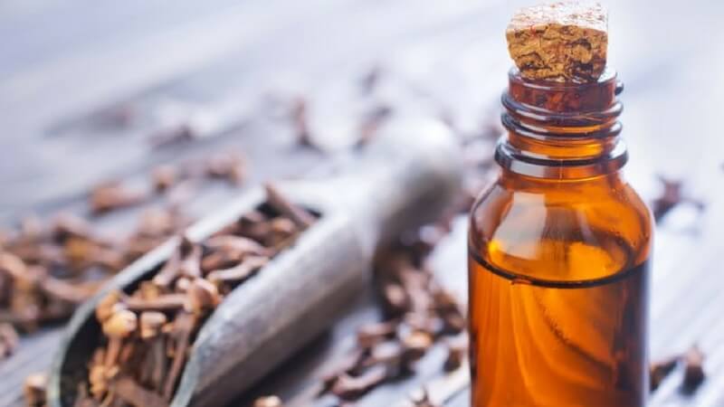 Clove Oil Tooth Decay