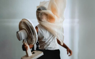 Comfort Pedestal Fans