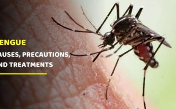 Dengue Causes, Precautions, and Treatments