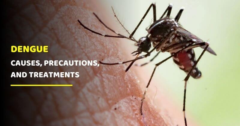 Dengue Causes, Precautions, and Treatments