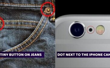 Everyday Things Real Purpose