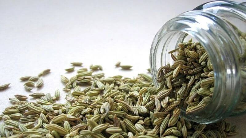 Fennel Seeds