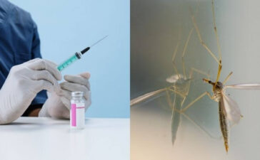 First Malaria Vaccine