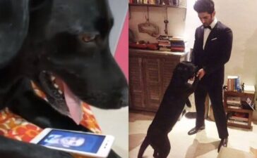 Video Fudge, Sushant Pet Dog