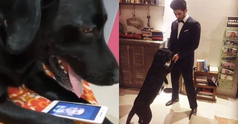 Video Fudge, Sushant Pet Dog