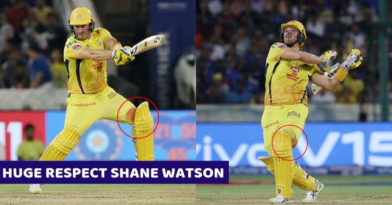 SHANE WATSON