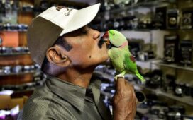 Birdman of Chennai Joseph Sekar