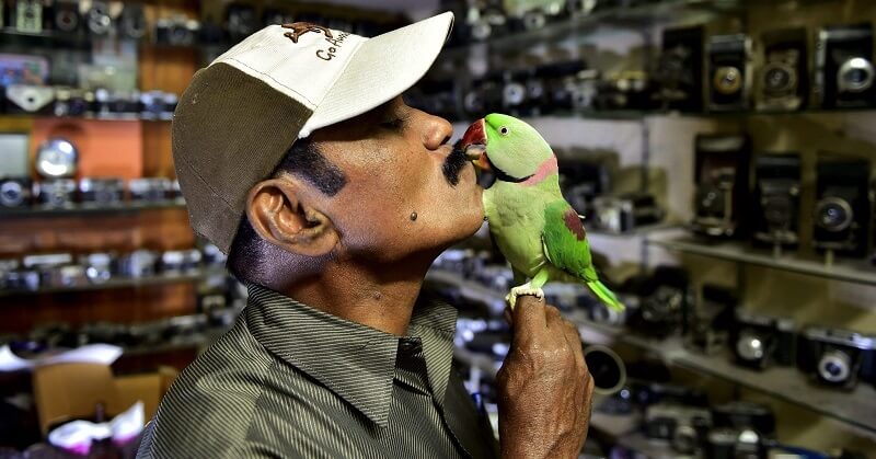 Birdman of Chennai Joseph Sekar