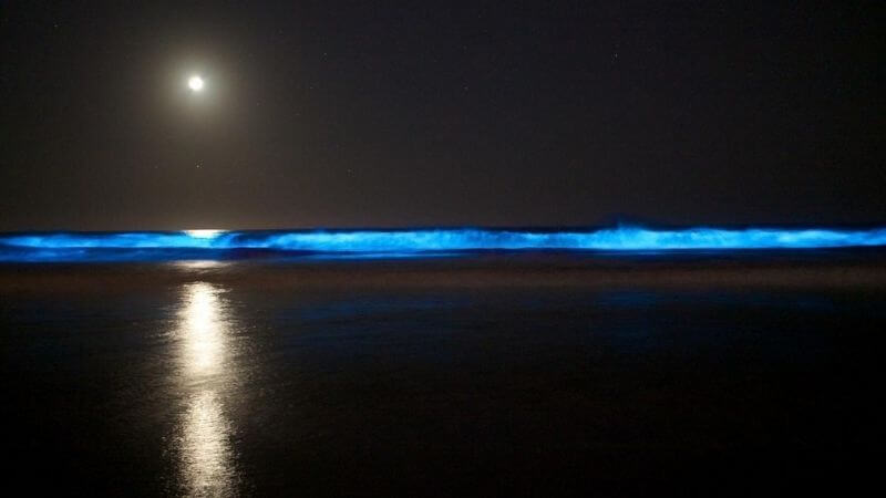 Juhu Beach at Night, Mumbai