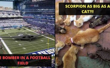 Amazing student edited images