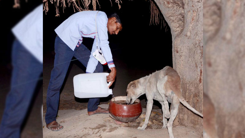 Madh ni Pati Kutariya Trust