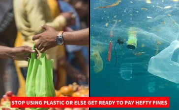 Maharashtra Bans Plastic