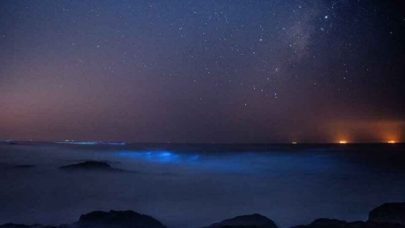 Mattu Beach In Karnataka