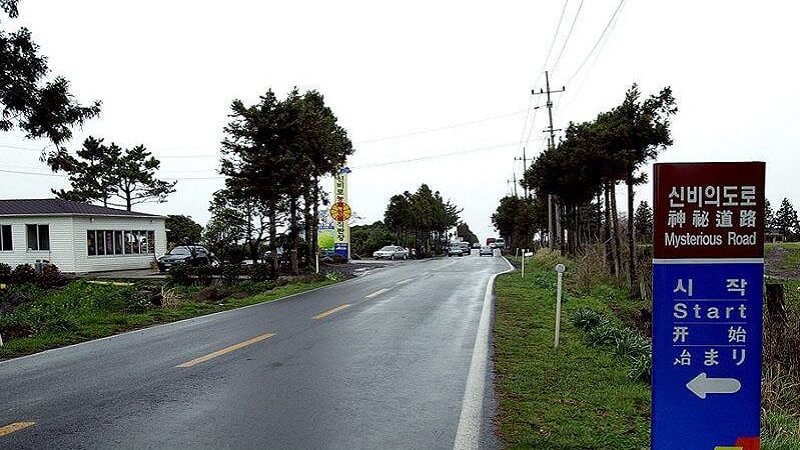 Mysterious Road In South Korea