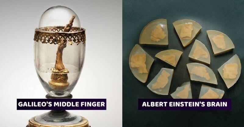 Organs Galileo Finger Einstein Brain
