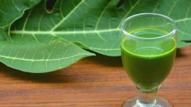 Papaya Leaves Extract Platelets Count
