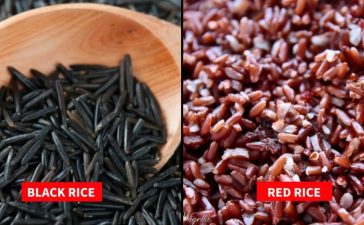 Popular Rice Varieties