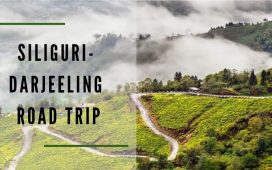 Siliguri Darjeeling Road Trip