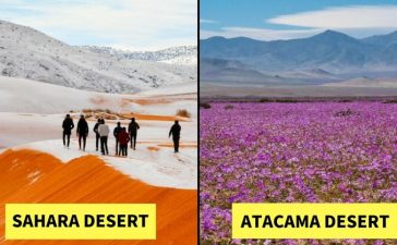 Some Serious Damage To The Planet