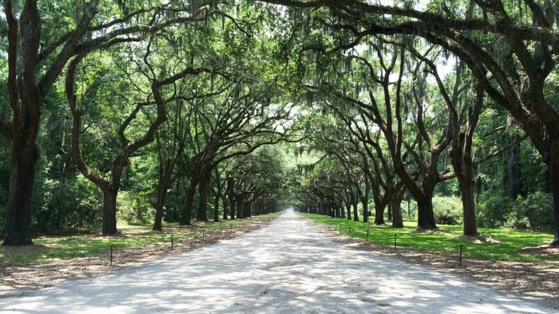 Living in Savannah, Georgia