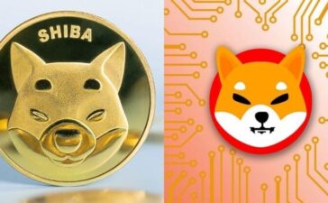 Shiba Inu Crypto