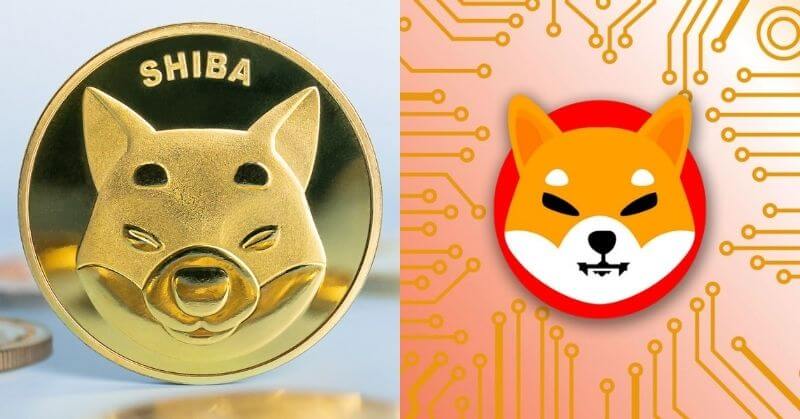 Shiba Inu Crypto