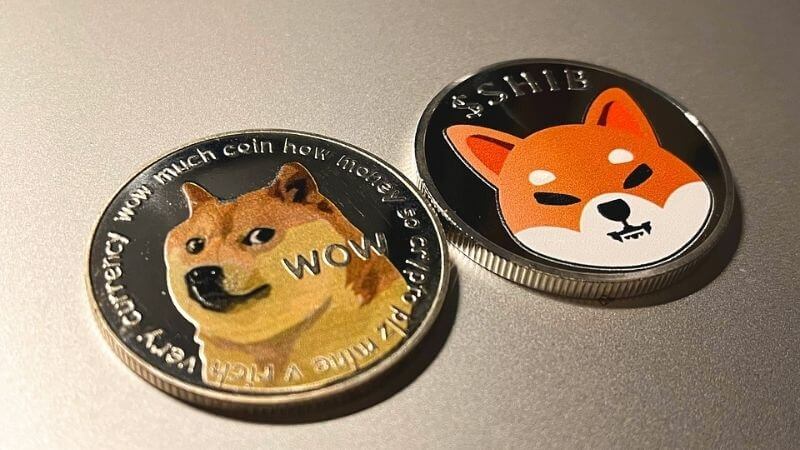 Shiba Inu Dogecoin