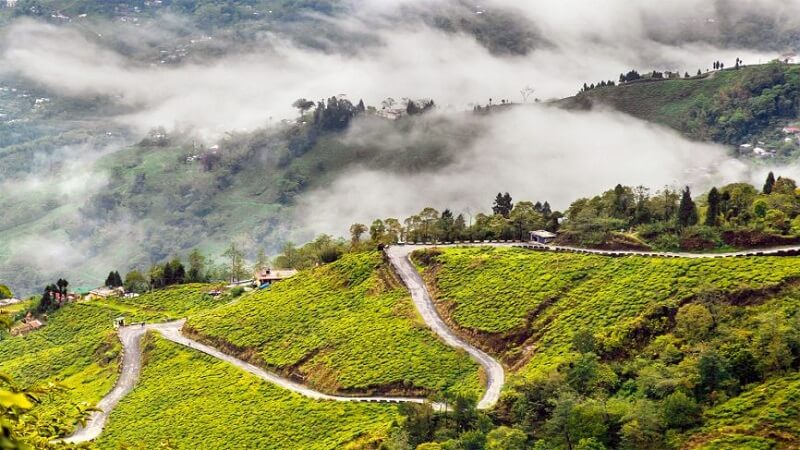 Siliguri Darjeeling Road Trip