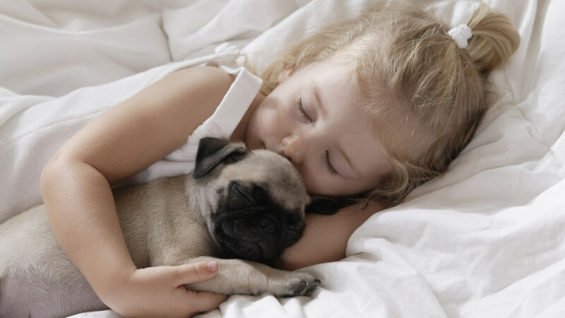 Sleeping together with your dog