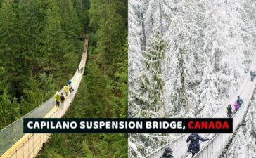 Terrifying Bridges Capilano Suspension Bridge, Canada