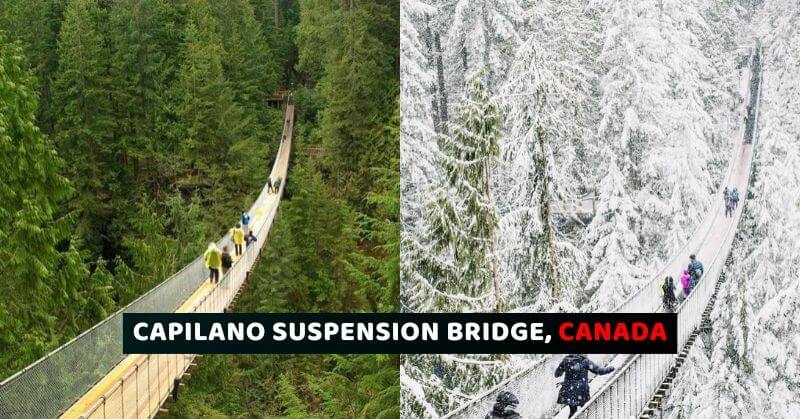 Terrifying Bridges Capilano Suspension Bridge, Canada