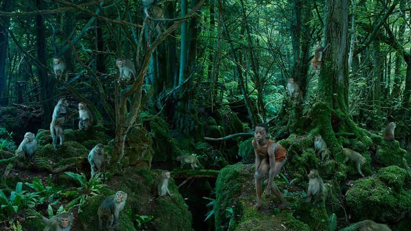 The Monkey Boy of Uruguay was captured in 1991 True Stories