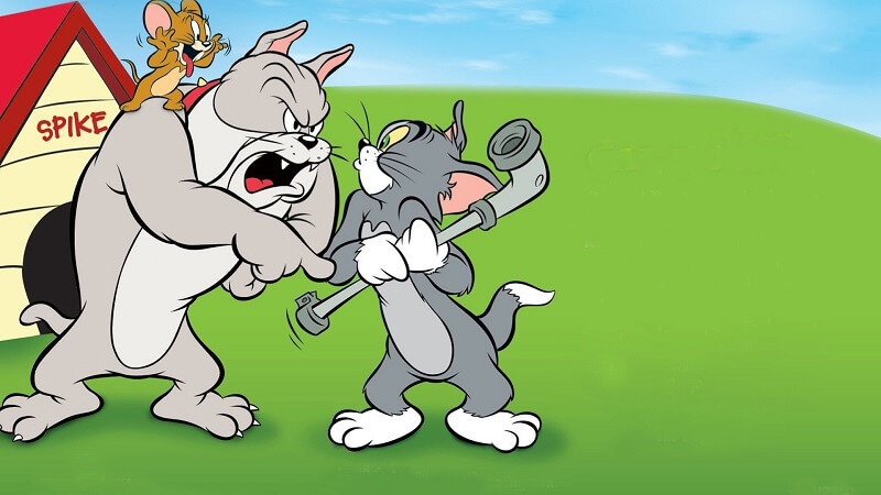 Tom And Jerry And The Spike And Tyke Series