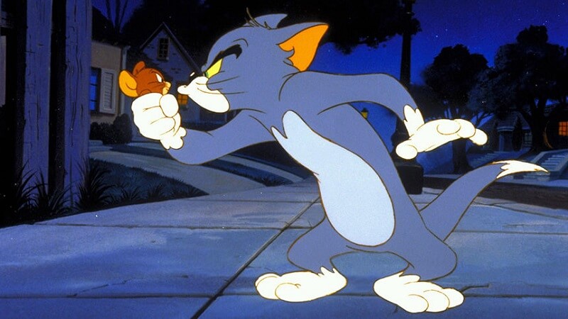 Tom Jerry Fight