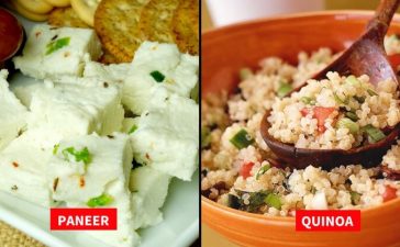 High Protein Vegetarian Foods