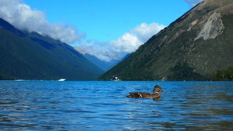 Zealandia Eighth Continent