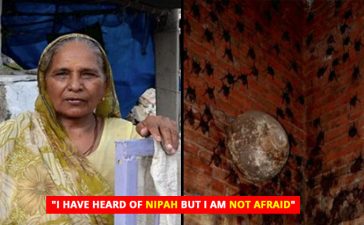 Bat Woman Lives With 400 Bats